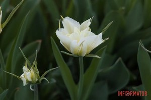 � ������ �� ������������ ���������� �������� ������ ������ ������ ���������