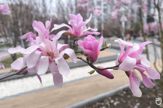 #������_�������: � ������ ������� ��������, ���������� ����� �������� ������� ������