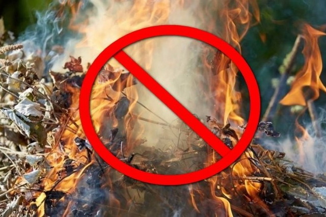 Не жгите сухую траву — это опасно для здоровья и наказывается законом!