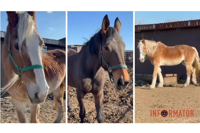 ����� ������: � ������ ������� ������� �� ������, ������� ��������� �� ������������ �������