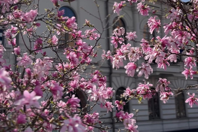 � ����� ��������� ����� ������ � ������ ���