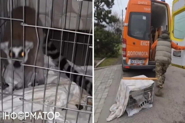 ����� ��������� ��������� ������ � ����������������