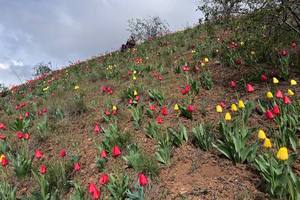 15 ����� ������ �� ������. � ������ ���� �� ������������ ������ ������ ��������, ������������� ����� � ��� �������