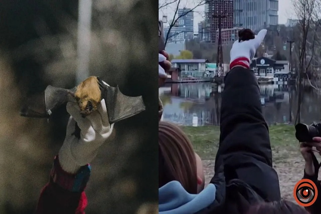 � ������ �� ������� ��������� 250 ��������� ����� ������� �����