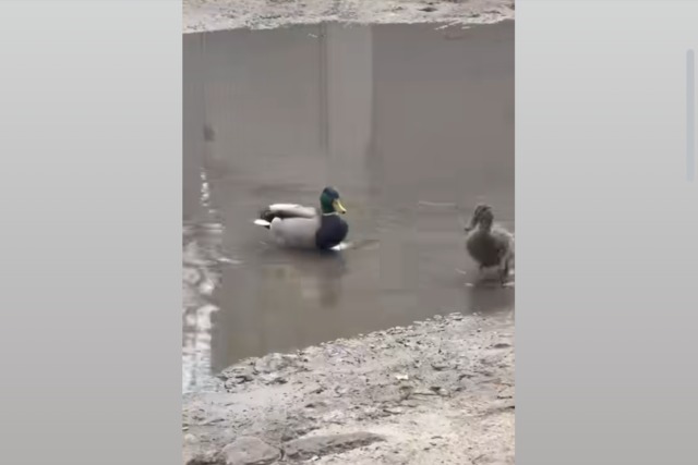 ѳ�'� ����� ������ ���� ����� ��������� ������ �� ��������� ����� �����������