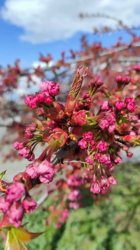 � ����� ���������� ����� ������ �����