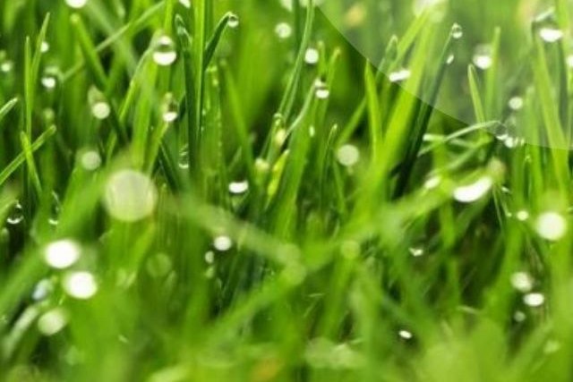 � ������� � ������ ��������� �������������� ����������� � ��������� �����