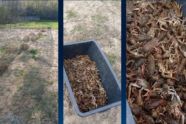 ������������ ���������������� ��������� ����� 200 ���� �� �������������� ������