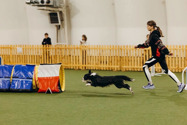 ʳ������ ��������������� ���������� ������ �������� �������� 10 ������� �� ������������� ��������