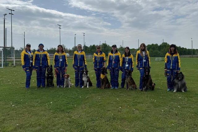 ʳ������ ������ �������� ��������� ������� �� �������� ����