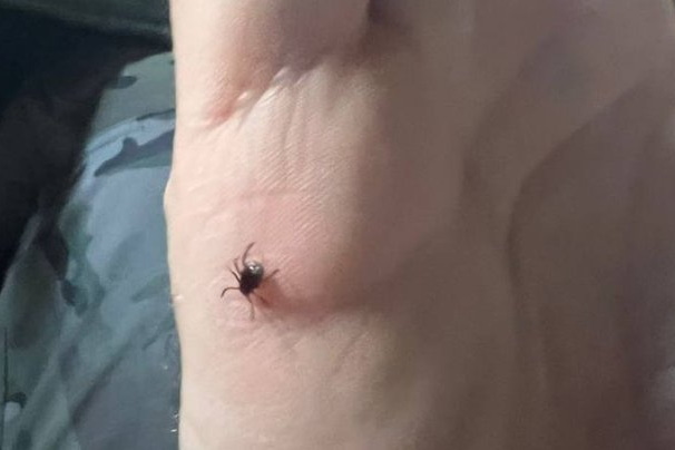 60% - ��������������. � ���� ���� �� ���������������� ������������� ������ ������� ����� ��-�� ������ ������