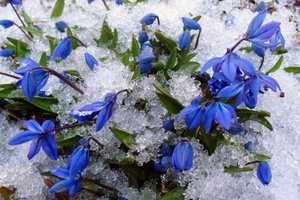 ����� �� � ������ ����� � ����� ������: ������� ������ �� ��������� ���