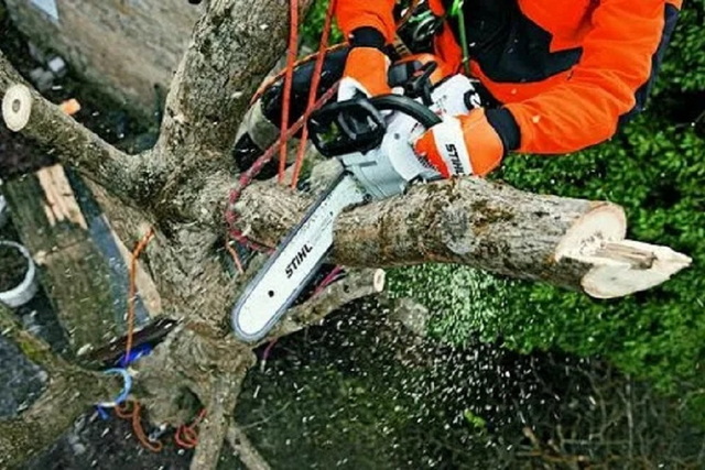 ��� � ��������� ������� ������� ��������� �� ������ ����� ��� ������������ ���