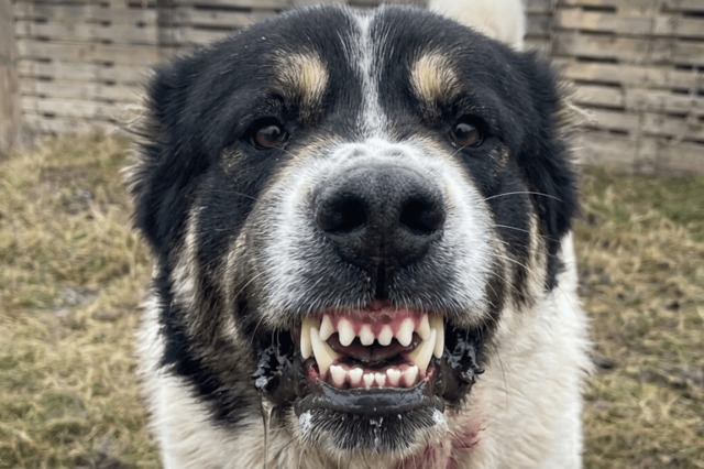 �������� ������ ��������� ������ �� �� ����������������