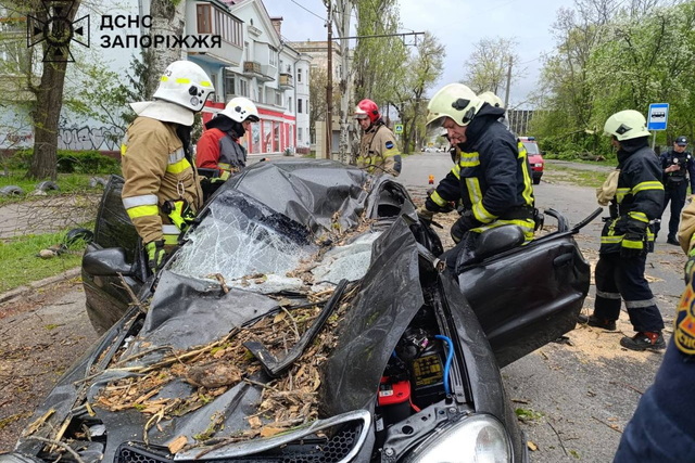 ϳ������� ������� ��� ����������� �������� ������� ������