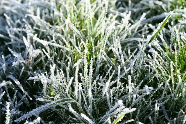 ��������� � ������� �����. ����� ����� ������ �� ���������������� � ��������� ������ ������