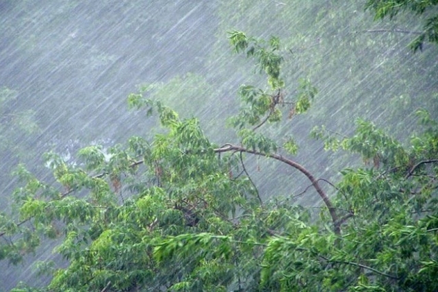 ���� ��������, ���� ������������: �������� � ������� ������� 13 ��������