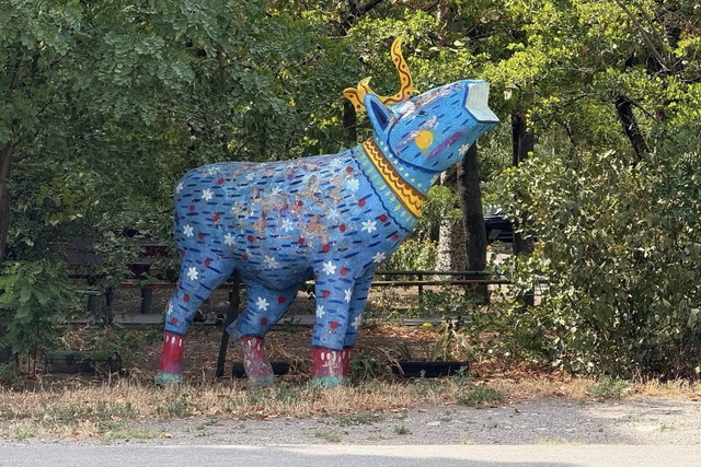 �������� ������ ������ ������� ����� ������