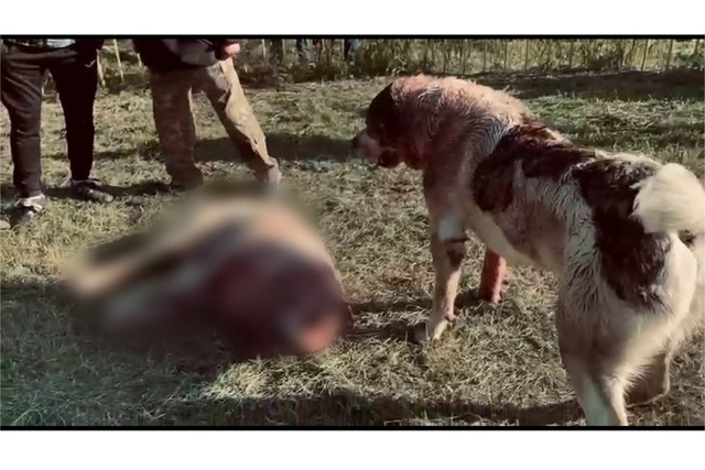 ������������� ������� �� ���������� �������, �� ��� �����. ������������� �� �� ���������� ���������� ������� ���