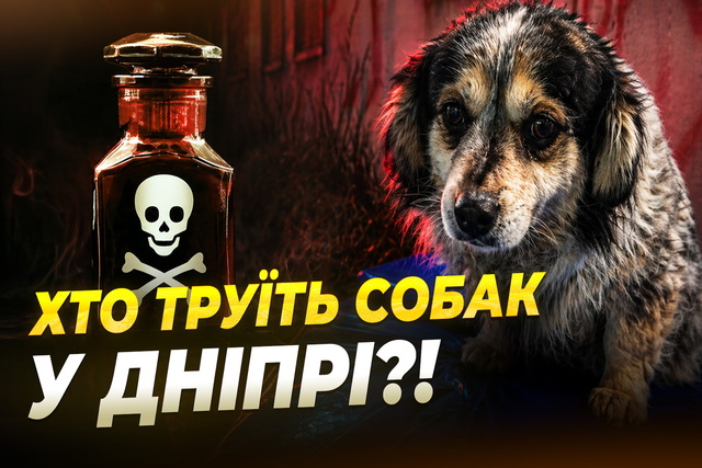 ������� ����� � �����: �� �������� ����� ������� �� ���� ��������� ����� 