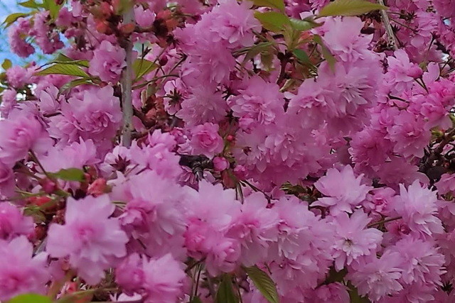 � ������ ����� ��������� ��������� ����� 