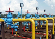 ���� �� ��� � 2008 ���� �������� �� 7-10%