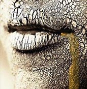 ���������������� ������ ������ �������� �������� ����