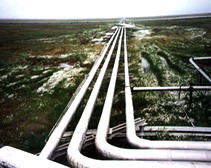 19 ����������� ������� �� ������������ �� ���, ������������ � 2007 ���� 