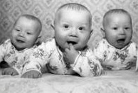 ������ ����������� ������ �� ��� ������ �����