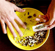 ����� �������� ��������� ���������� �������� ����������� ���������