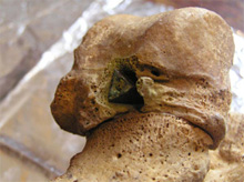 � �������� ��������� ������ ������