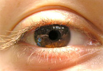 �������� ������������ � ������ �������