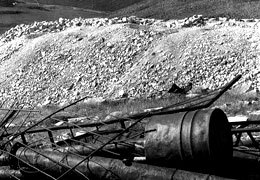 ������������ ������ ���������� �������������