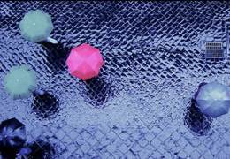 � ��� ���� �����