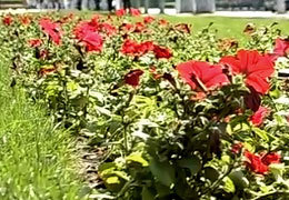 � ����� � ���������� ������ ������ �������� ������