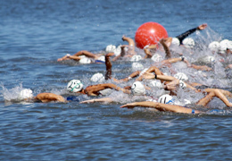 ������������ �� �������� ������������� ������-2011. �������� ��-�����