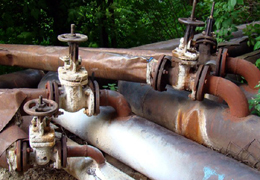 ���� ���� � ��� ������: ������ � ������ � ���������������� 