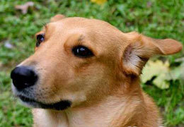 ������ ����� �������� ������������ �������� ������