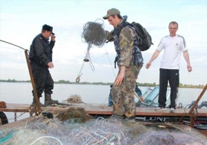 ���������������� ������������ �������� ����������� �� ���������