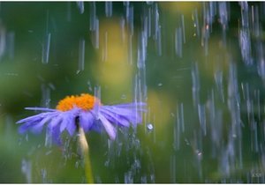 �� �������� � �������������� ������ ����� � �����, - �������������