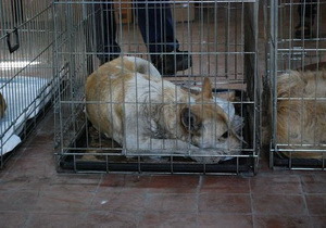 ����� �� ������������ �������� � ���������������� ��������� ������� ������