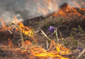 ����������������� ��������� ��������� ����� ������� ����� � ��������