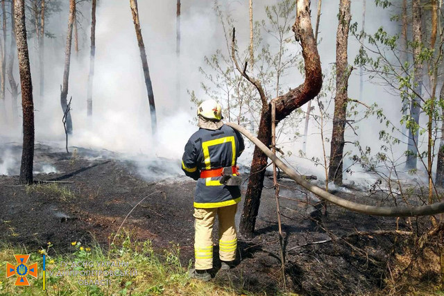 На Днепропетровщине пожарные ликвидировали возгорание подстилки хвойного леса