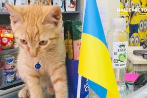 ��������� ��-��� �������: ��� ��������� ����������� ���������� � ������ ������� �������� ����� �����