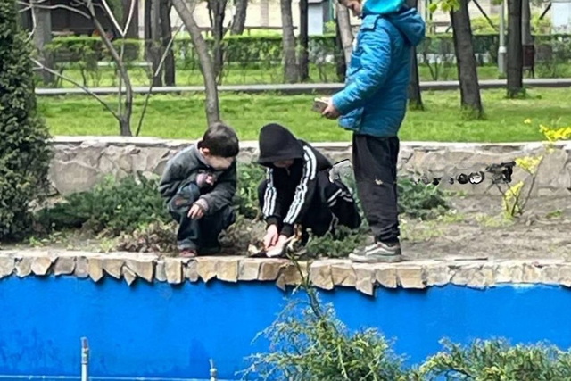 � ����������� ��� ���������� ����������� ����, ��� ������� � ������� 