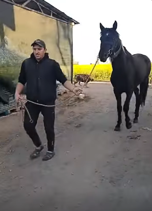 �� ���� ������� �� �� ������������� �������� ���������� ����