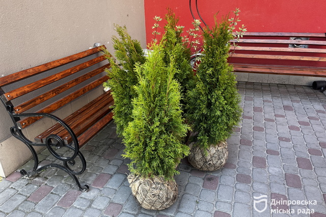 � ������ �������������� ������ ���������� ��, ��������� �� �����