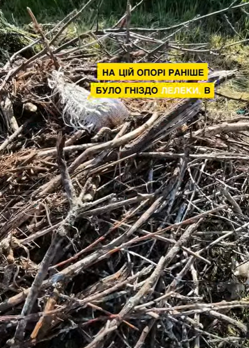 ���������� ���������������� ������������ ����������� ������ ������