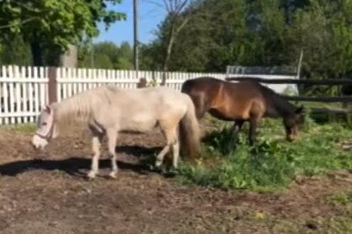 ������������������ ����� ��������� �������� ������ ������ ������ ������� ���� ������