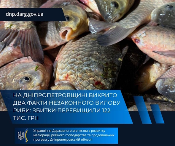 Ущерб превысил 122 тысяч грн: в пригородах Днепра обнаружили 2 браконьеров